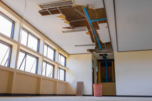 Trusted Water Damage Restoration in Cascade, IA | Fast, Reliable, and Ready to Assist You